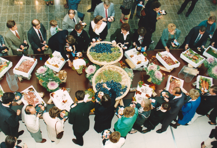 Lippulaivan avajaiset